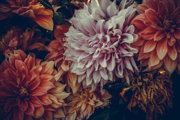 Top 5 raisons d'opter pour les produits nalunes fabriqués en france